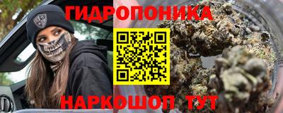 гидра Будённовск