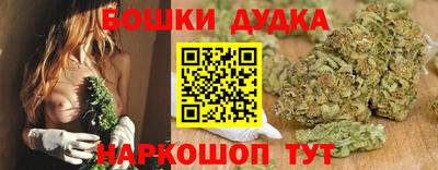 гидра Будённовск