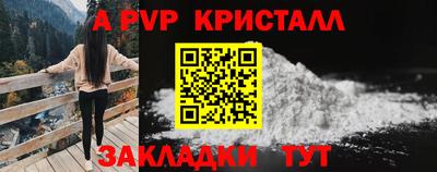 гидра Будённовск