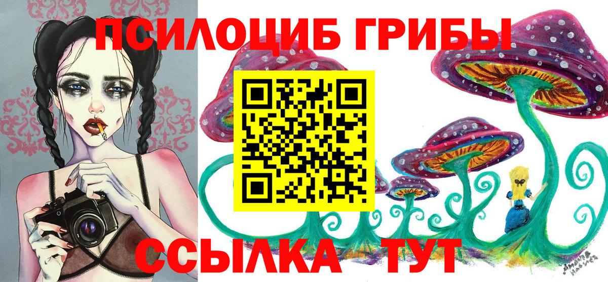 где купить наркотик  Псилоцибиновые грибы Psilocybine cubensis  Вход с VPN  Рославль 