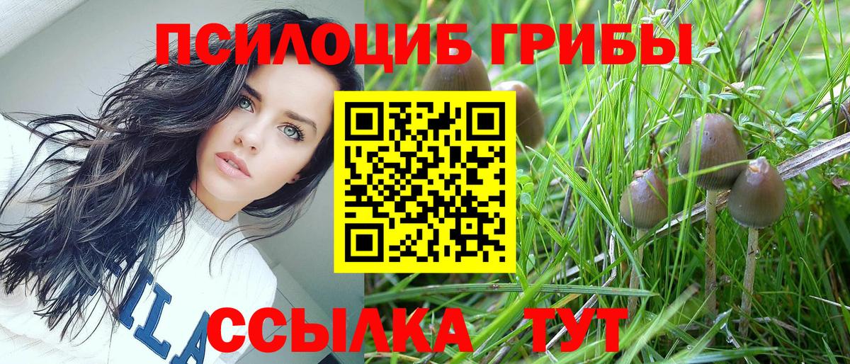 Галлюциногенные грибы мухоморы Рославль
